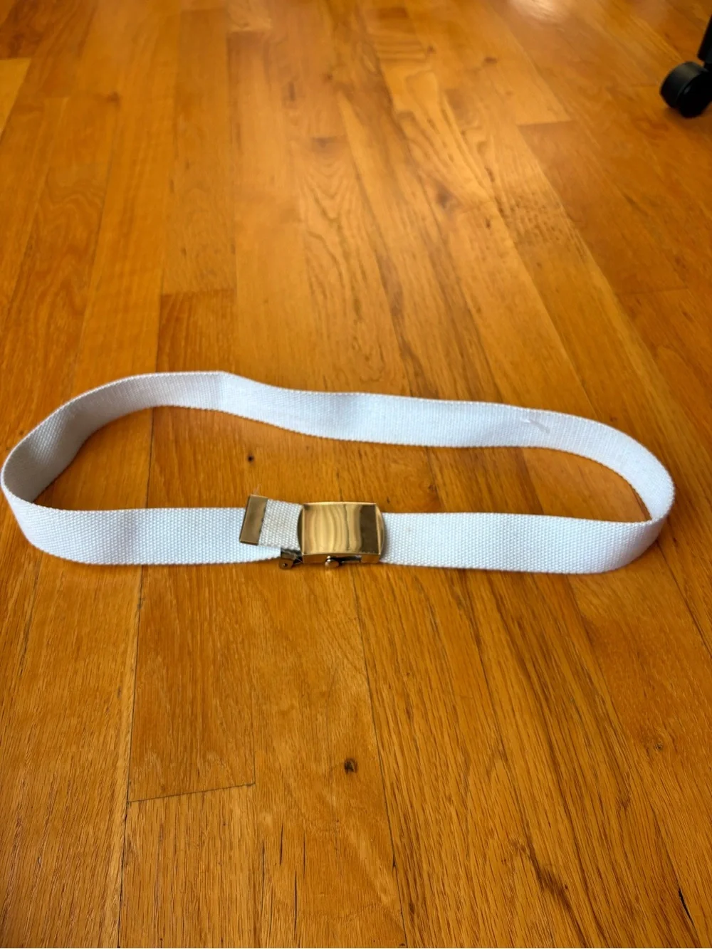 White Canvas Belt with silver-tone Buckle - Women's Accessory